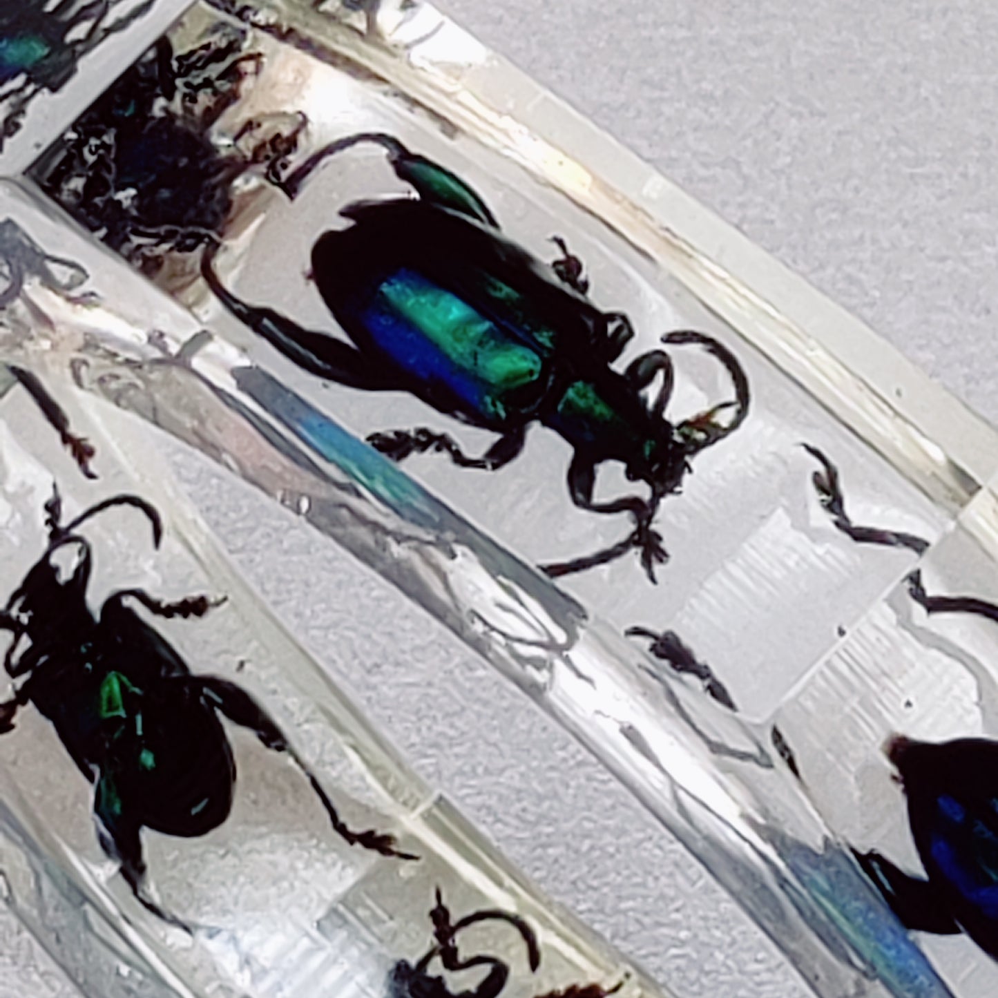 Rare 1960s Lucite Beetle Bangle